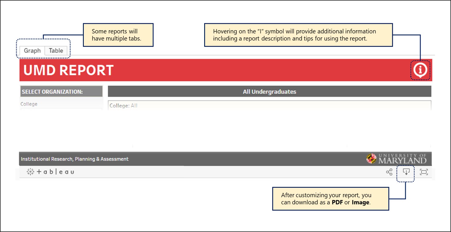 Report help graphic